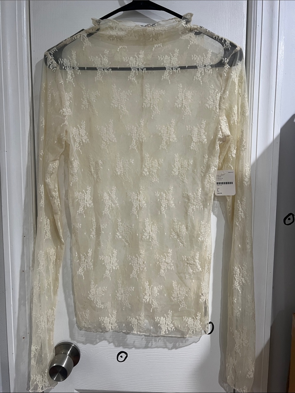 Free People Delicate Sheer Lace Long-Sleeve Top in Cream